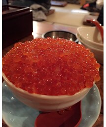 イクラ丼 | 福袋/福箱