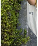 SHIPS(シップス)の「バッグ(トートバッグ)」
