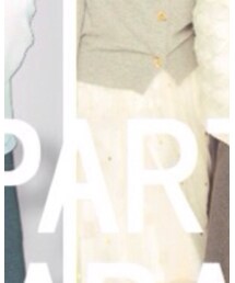 Tokyo Disney SEA | スカート