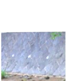 WOODY PALACE | シャツ/ブラウス