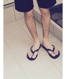 Hollister | シューズ