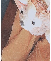 SEVENDAYS=SUNDAY | カーゴパンツ