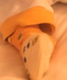 Birthday | ソックス/靴下