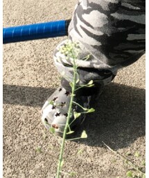 西松屋 | サンダル