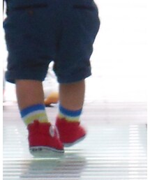 Birthday | ソックス/靴下