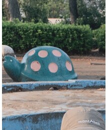 カメさん | インテリア