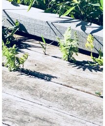 躍動感 | その他