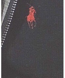 POLO RALPH LAUREN | ニット/セーター