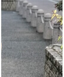 patagonia | ジャケット/アウター