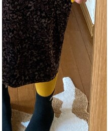 no brand | タイツ/ストッキング