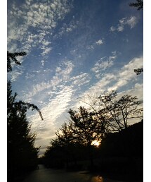 秋空 | その他