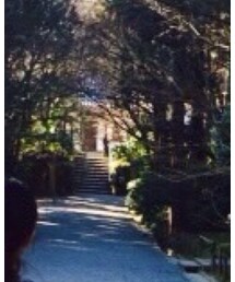 京都 龍安寺 | その他