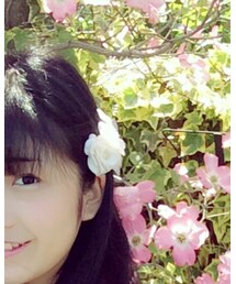 LIZ LISA | バレッタ/ヘアクリップ