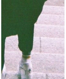 Dickies | スラックス