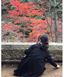 🍁🍁🍁 | その他