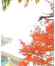 CALEE | ジャケット/アウター