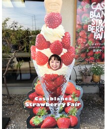 顔ハメ📸 | その他