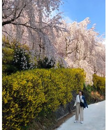 別ショット🌸 | その他