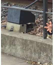 GLOBAL WORK | ダッフルコート