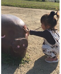 🐷 | 目をグリグリ💕(その他)