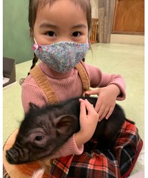 🐷 | その他