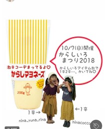 からしいろまつり2018告知 | その他
