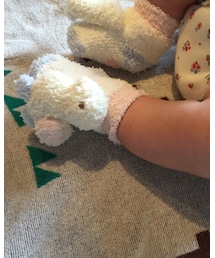 gelato pique | ソックス/靴下