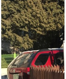 Ramolin | ニットキャップ/ビーニー