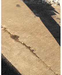 Nudie Jeans | デニムパンツ