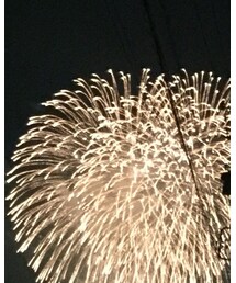 花火 | その他