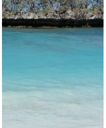 青い海 | その他