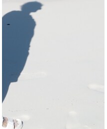 白い砂浜 | その他