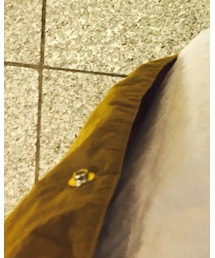 THE NORTH FACE | ステンカラーコート