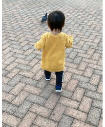 鳩追いかける息子💨 | その他