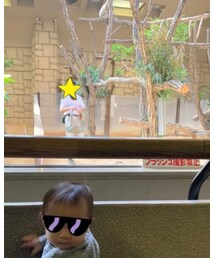 🐨と飼育員さんとのショット📷 | その他