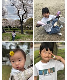 🌼🌸 | その他