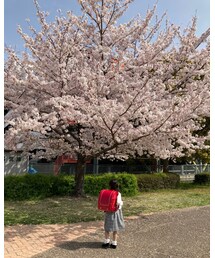 👩🏻🎒🌸 | その他