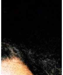 STUSSY | デニムスカート