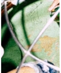 WEGO | デニムスカート