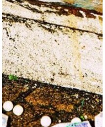 GU | チノパンツ