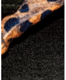 URBAN RESEARCH | セットアップ