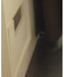 靴下屋 | ソックス/靴下