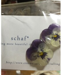 schaf | イヤリング