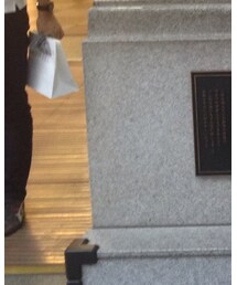 SON OF THE CHEESE | ワンピース