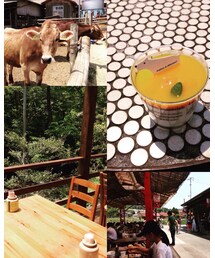 牧場のカフェ🐄 | 牧場のカフェ🐄(その他)