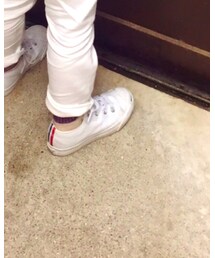 JACK PURCELL | スニーカー