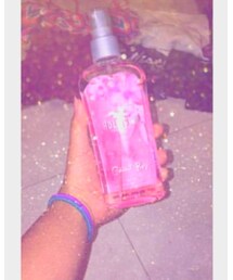 Hollister | その他ボディ・ヘアケア