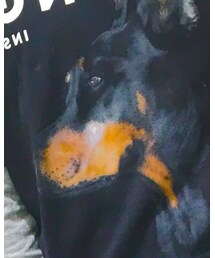 Bershka | Tシャツ/カットソー