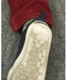 TOMMY HILFIGER | スニーカー