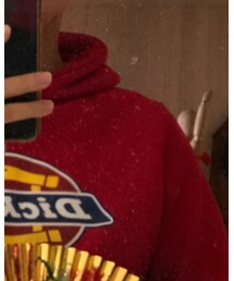 Dickies | パーカー